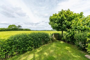 Üppige grüne Landschaft mit Hecke, Baum und Feld.