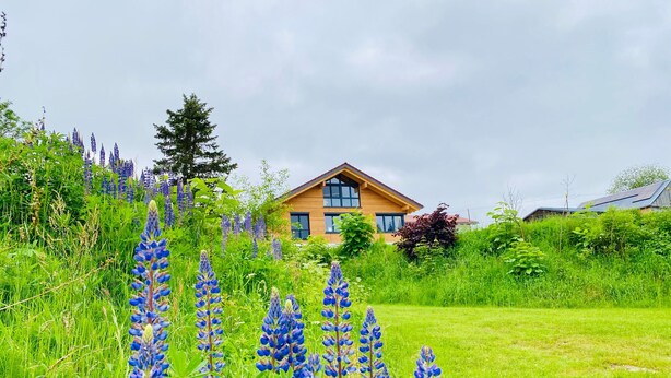 Una casa rodeada de vegetación exuberante y altas flores azules.