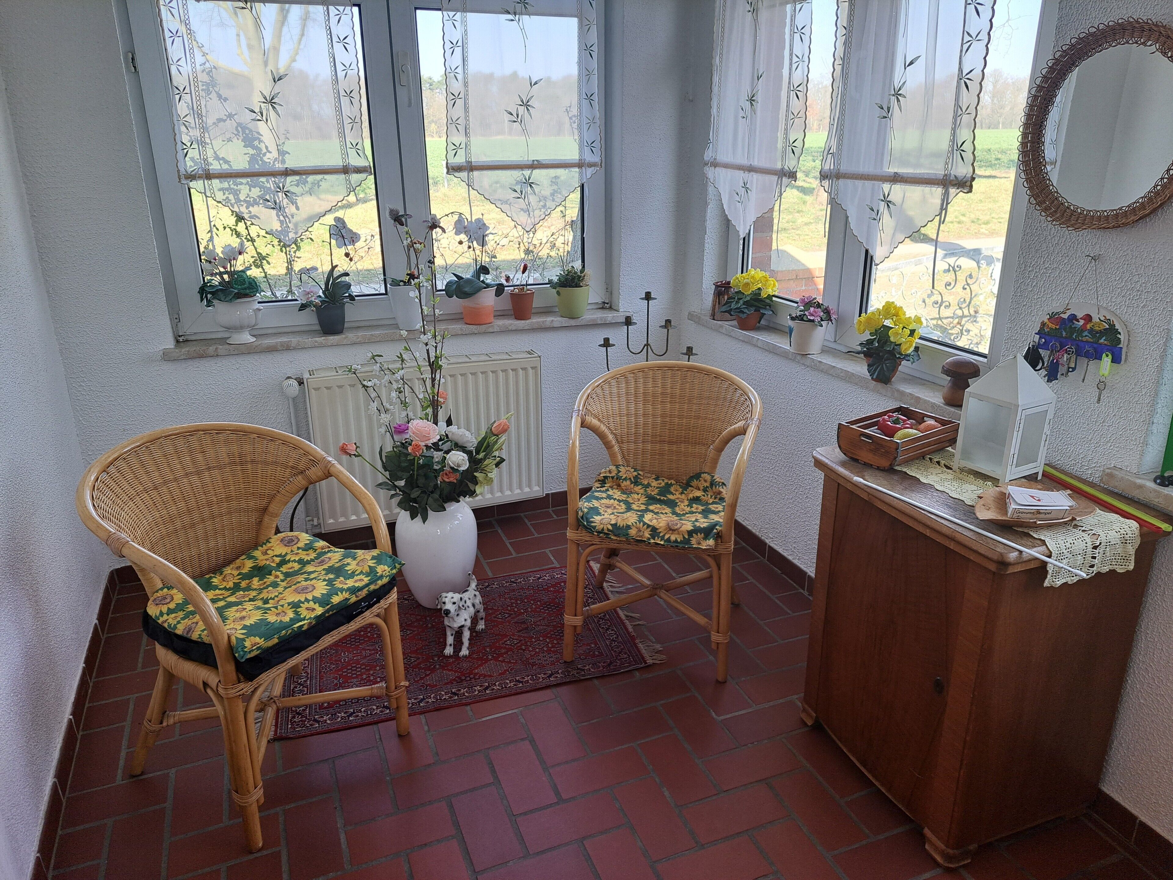Une pièce avec deux fauteuils en osier, un petit chien blanc, un radiateur et un meuble en bois doté d’un miroir.
