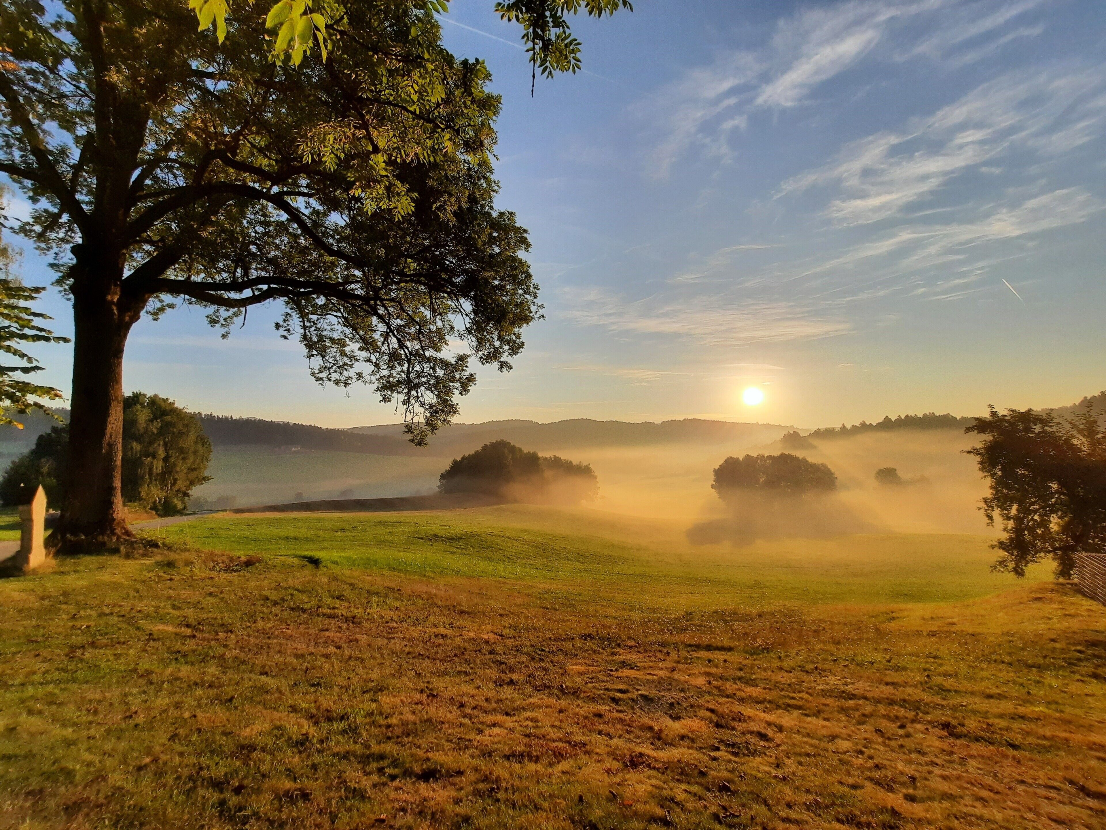 Un paysage avec un grand arbre, de vastes champs et une vue lointaine sur le soleil.
