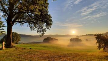 Un paysage avec un grand arbre, de vastes champs et une vue lointaine sur le soleil.