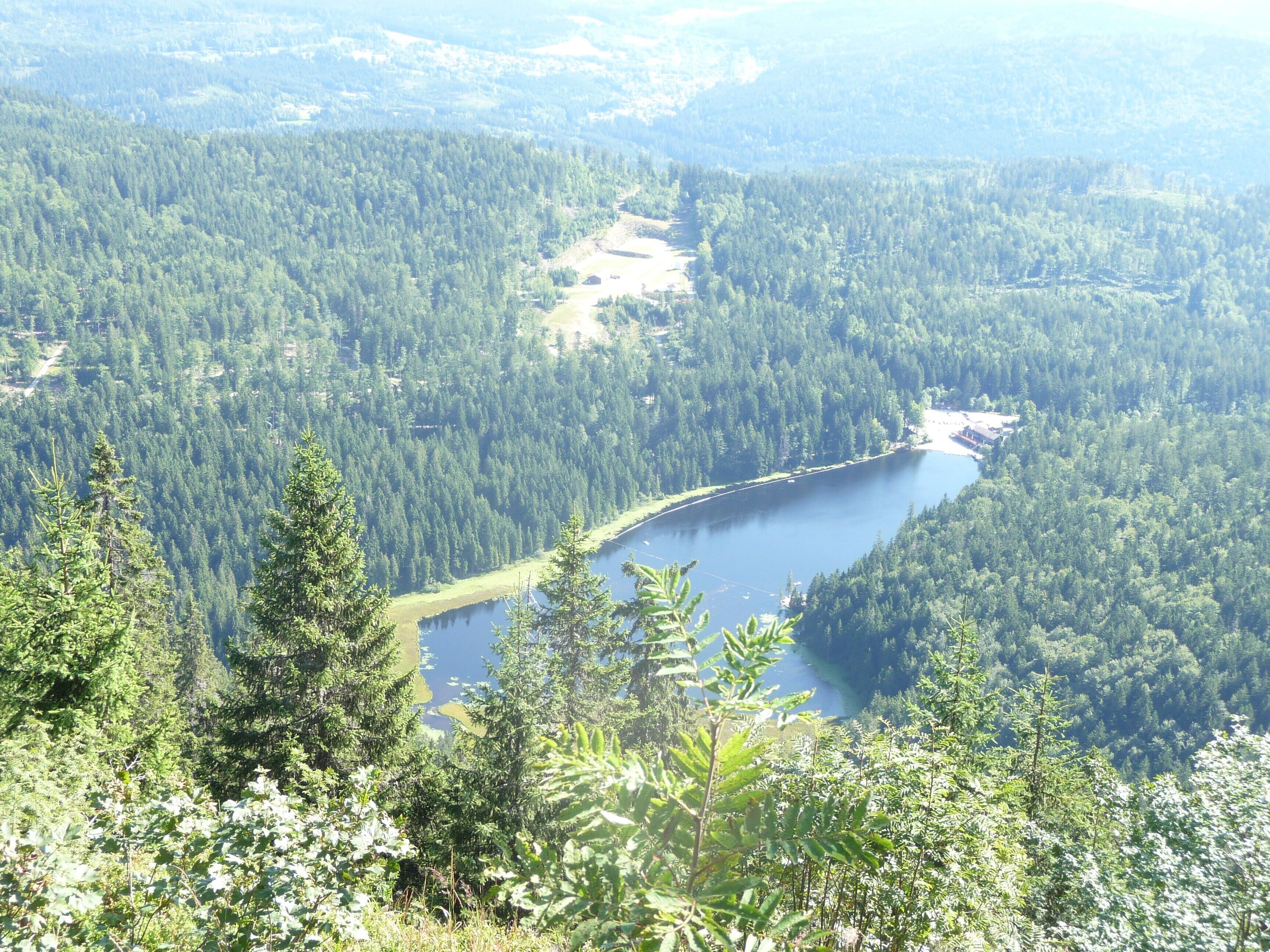 Paesaggio montuoso con un lago circondato da fitta foresta.