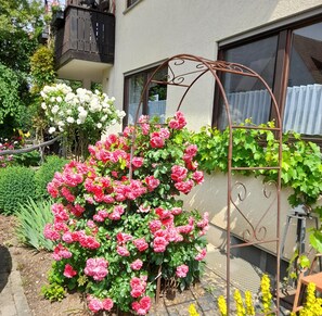Exterior detail - Apartment 'Marla' with Shared Terrace, Shared Garden and Wi-Fi (Lauterbach)