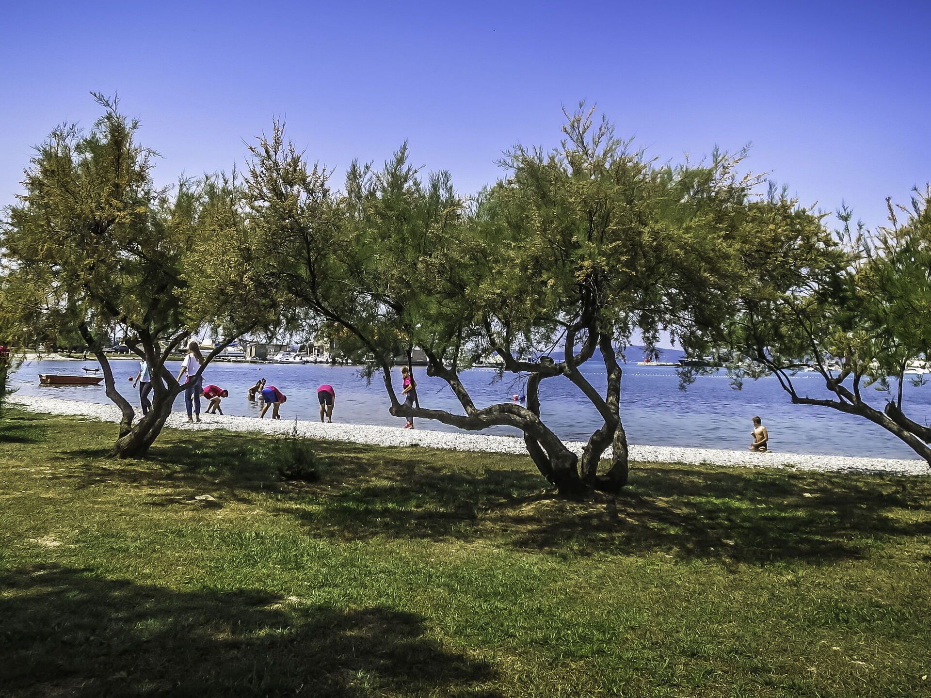Een park aan het meer, met bomen en mensen in de buurt van het water.