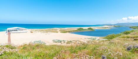 Sky, Water, Plant, Ecoregion, Natural Landscape, Flower, Coastal And Oceanic Landforms, Cloud, Grass, Landscape