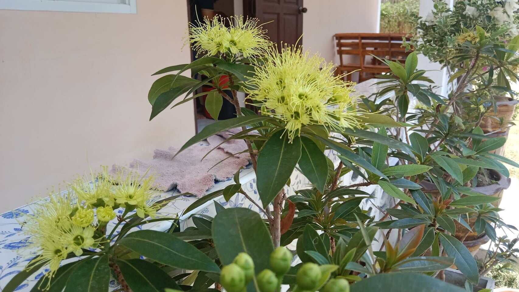 Perushuone | Oleskelualue | Lämmitetyt lattiat