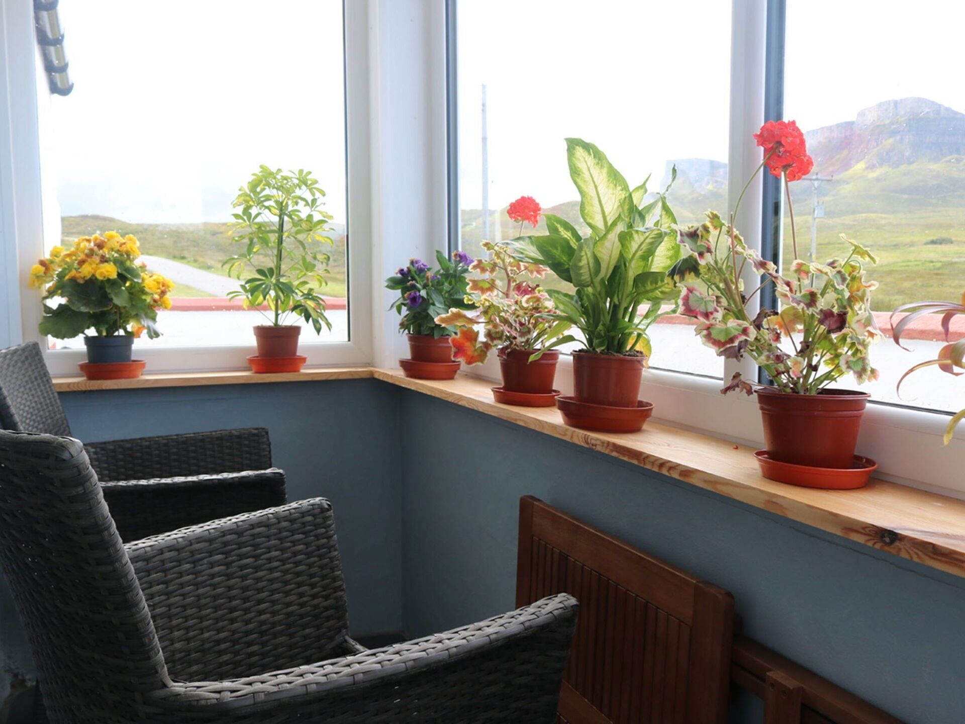 A corner room with a window sill lined with potted plants, wicker chairs, and a view of a road and hills.