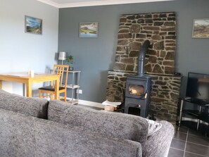 Televisión, chimenea y reproductor de DVD 