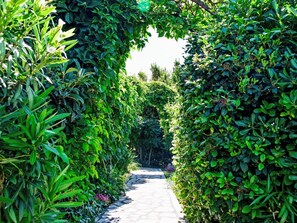 Área da propriedade