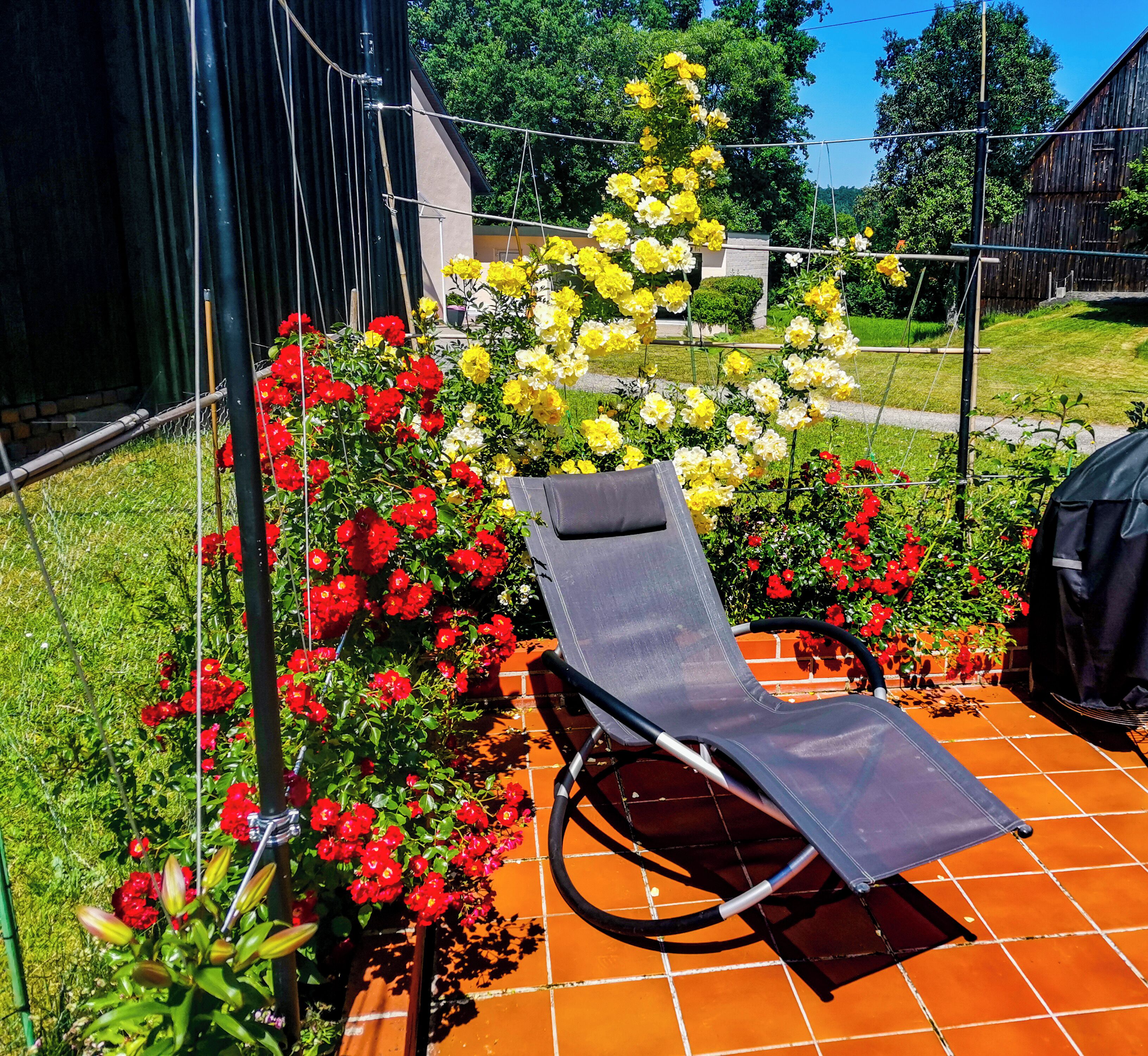 Un transat sur une terrasse carrelée, donnant sur un jardin agrémenté de fleurs rouges et jaunes.