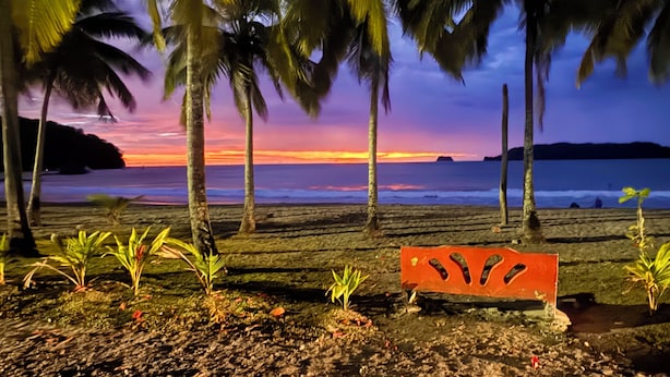Una playa con palmeras y un banco de madera.