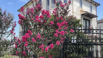 Stunning two-story house with a unique tower and balcony, set amidst a beautifully manicured lawn and a flowering tree.
