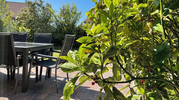 An outdoor patio with a table and chairs, surrounded by lush greenery and a clear blue sky. - 3 bedroom accommodation in Julianadorp aan Zee (Julianadorp aan Zee)