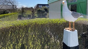 Een standbeeld van een zeemeeuw op een wit voetstuk in een tuin, met een huis op de achtergrond.