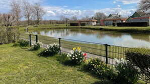 Un parque tranquilo con un estanque, una valla y casas al fondo.