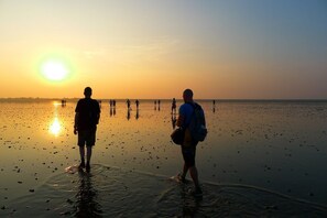 Beach - 3 bedroom accommodation in Julianadorp aan Zee (Julianadorp aan Zee)