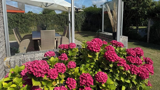 Un patio con mobiliario exterior, un paraguas blanco y coloridas flores rosas.