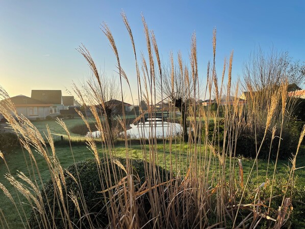 Property grounds - 3 bedroom accommodation in Julianadorp aan Zee (Julianadorp aan Zee)