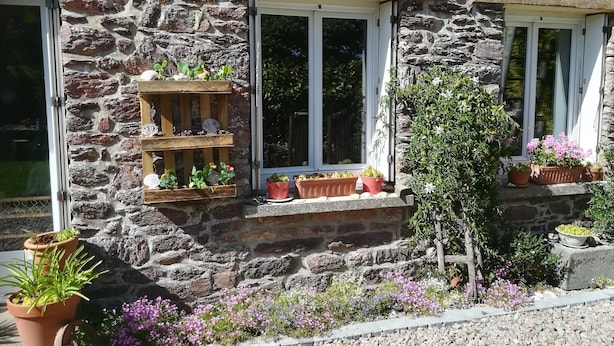Un edificio de piedra con múltiples ventanas, algunas con contraventanas, y diversas plantas en macetas tanto en el interior como en el exterior.