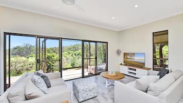 Smart TV, fireplace, books