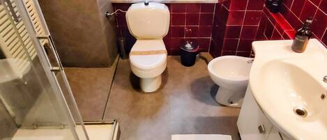 Regadera, secadora de cabello, bidet, toallas
