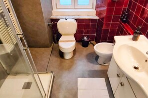 Shower, hair dryer, bidet, towels