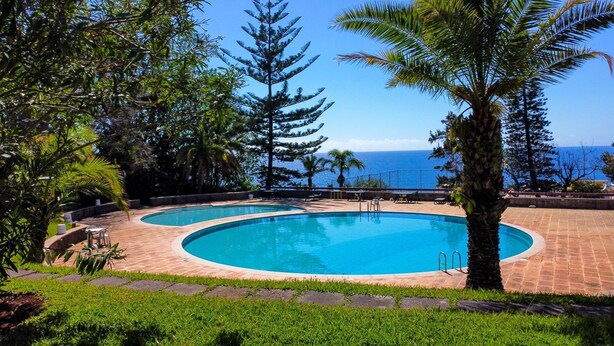 Une piscine avec vue sur l’océan, entourée de palmiers et d’autres plantes.