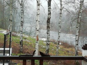 Property grounds - Relaxing villa with a view to the Lestijoki river. Has sauna for enjoyment! (Keski-Pohjanmaa)