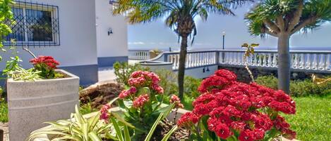 DĂ©tail de lâextĂ©rieur