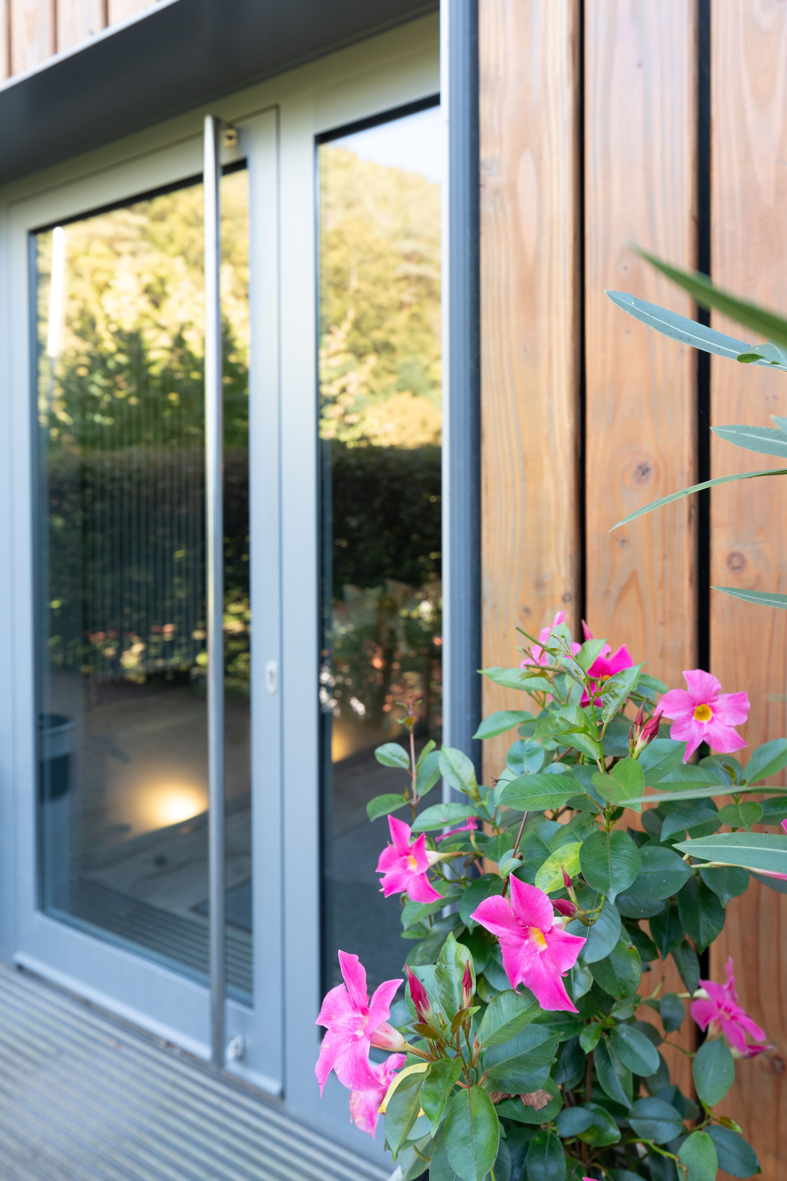 المنشأة من الخارج