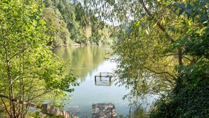 Une jetée en bois mène à un lac paisible, entouré d’une végétation luxuriante.