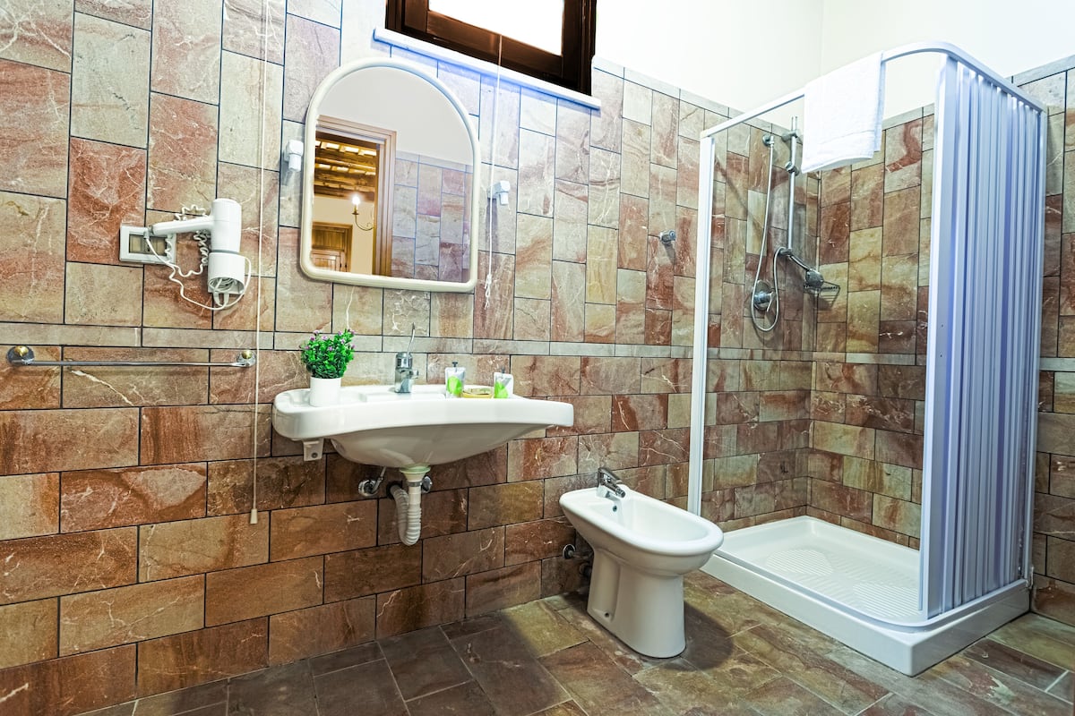A bathroom with a sink, mirror, bidet, and shower.