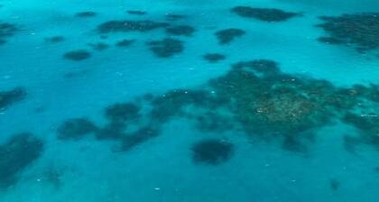 Trinity Beach Oasis-Uncover serenity and sophistication at our beachside.