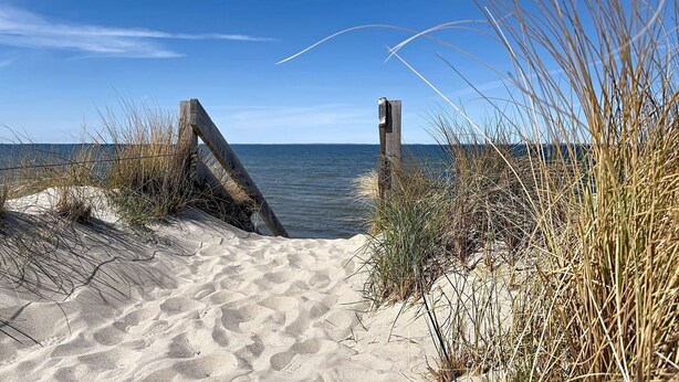 A sandy beach path leading to the water, surrounded by grass and wooden posts. - Beautiful apartment for 4 guests with WIFI, TV and balcony (Greifswald)