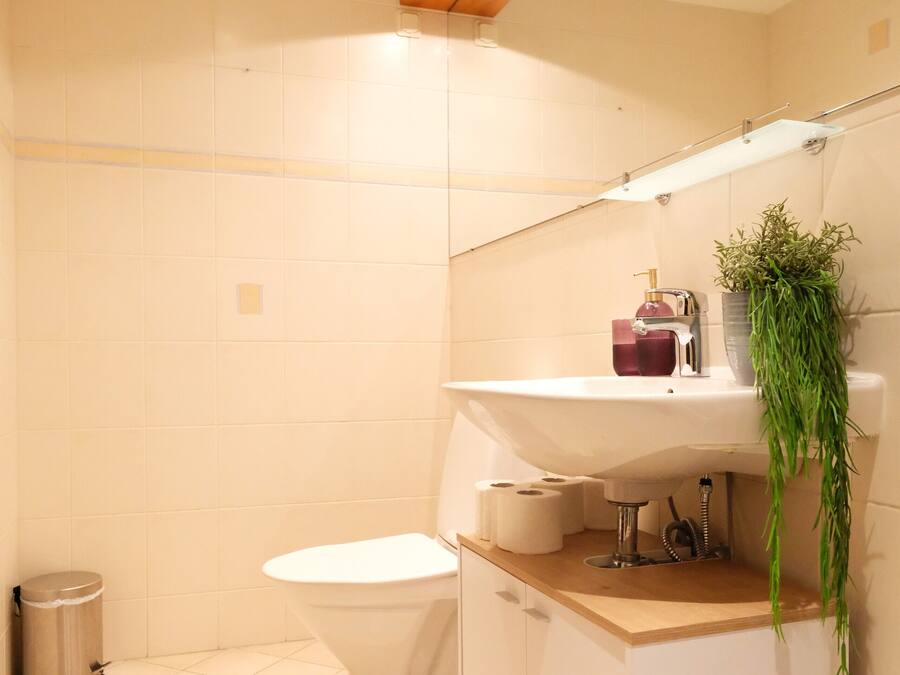 A modern bathroom with a white toilet, a wooden vanity with a sink, and a green plant.