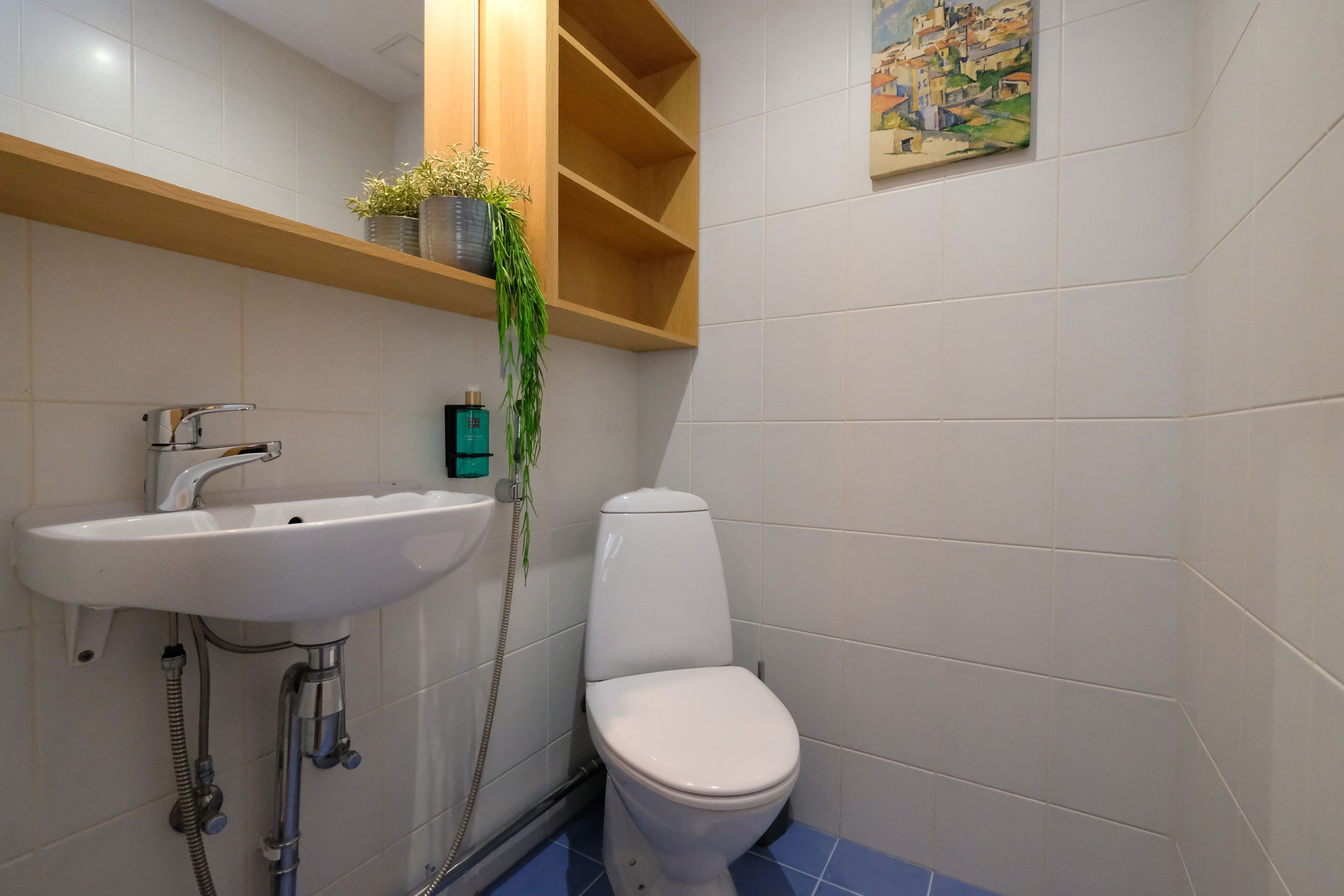 Un baño con un lavamanos blanco, un inodoro y un estante de madera con una planta.