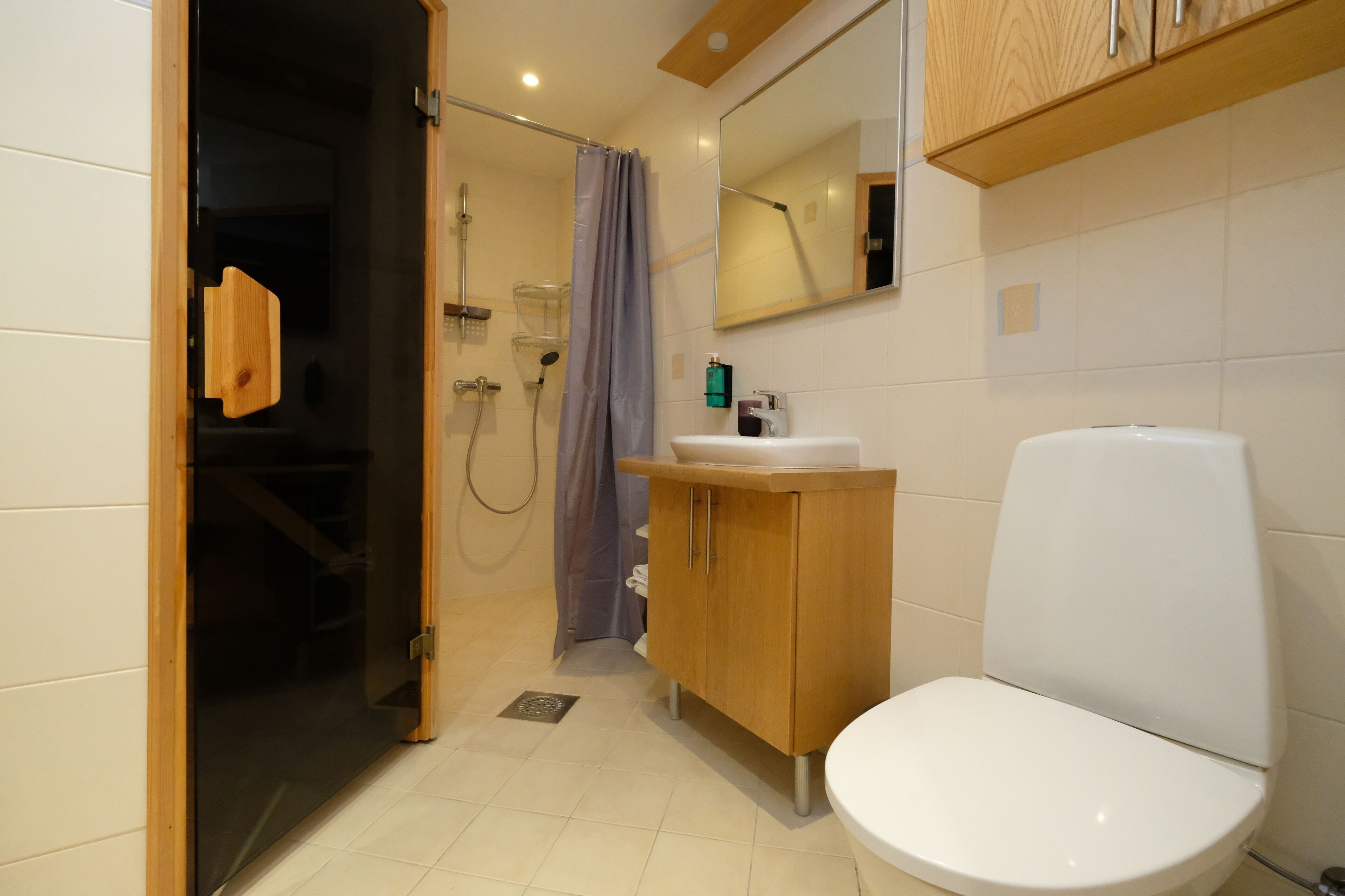 Departamento, 2 habitaciones, sauna | Baño | Secadora de cabello, toallas, jabón, shampoo 