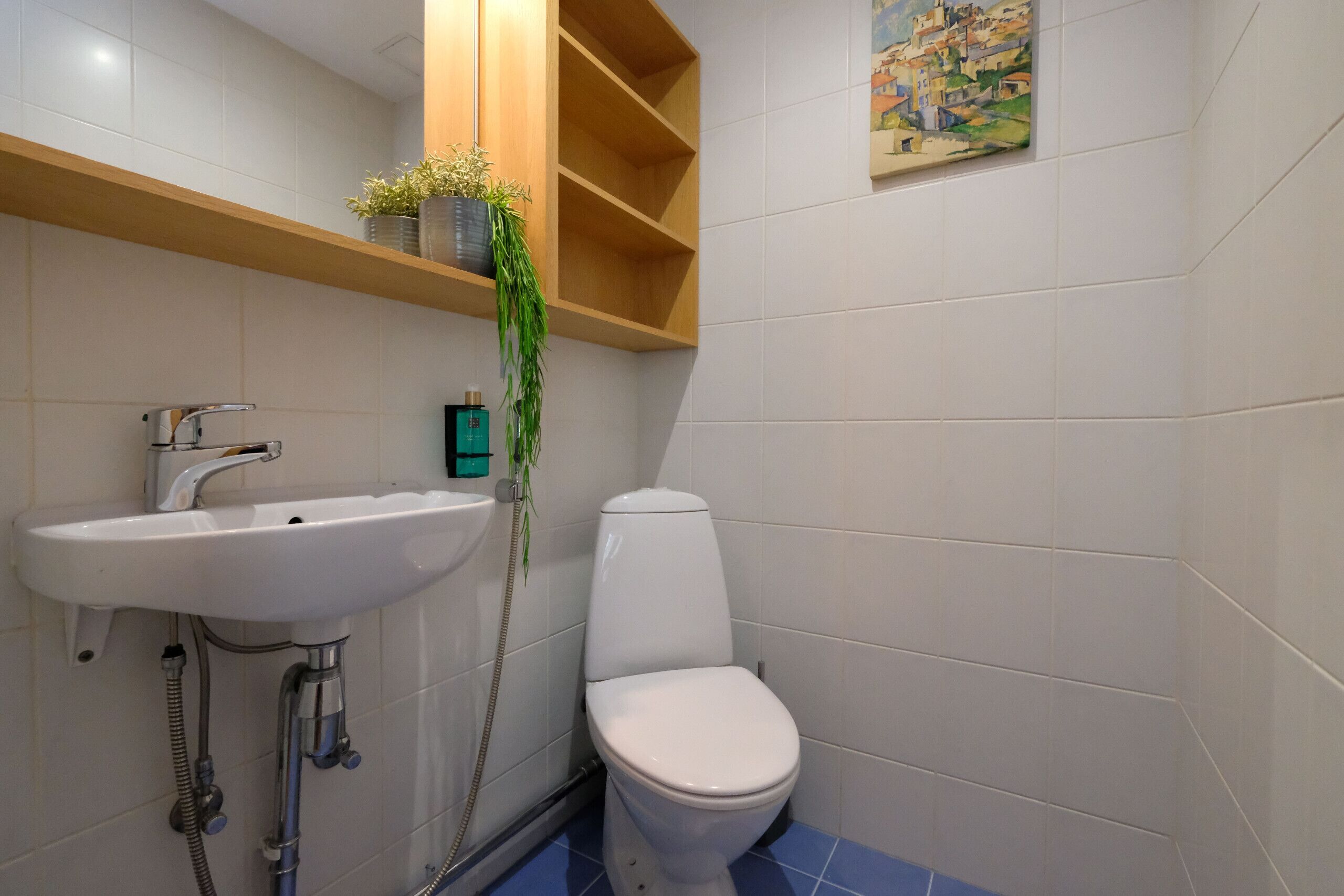 Une salle de bain avec un lavabo blanc, des toilettes et une douche. Une étagère en bois se trouve au-dessus du lavabo, et une plante y est posée.