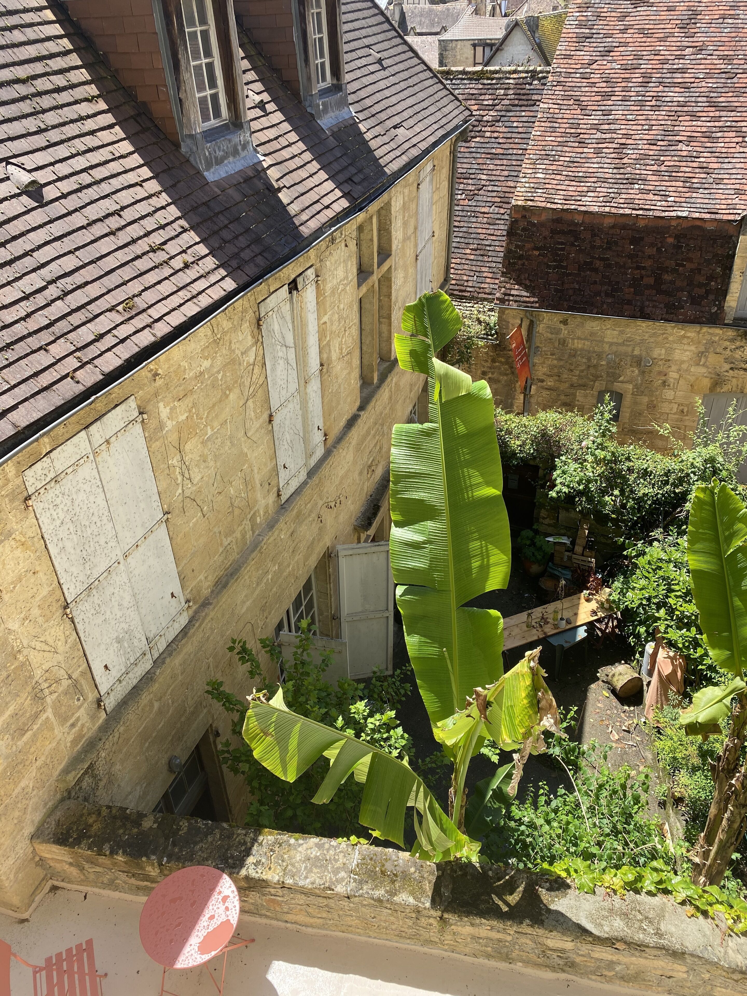 Een binnenplaats met een stenen gebouw, een houten tafel en een grote bananenplant.
