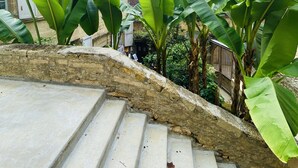 Een stenen trap die leidt naar een gebouw, met grote groene bananenbladeren op de voorgrond.