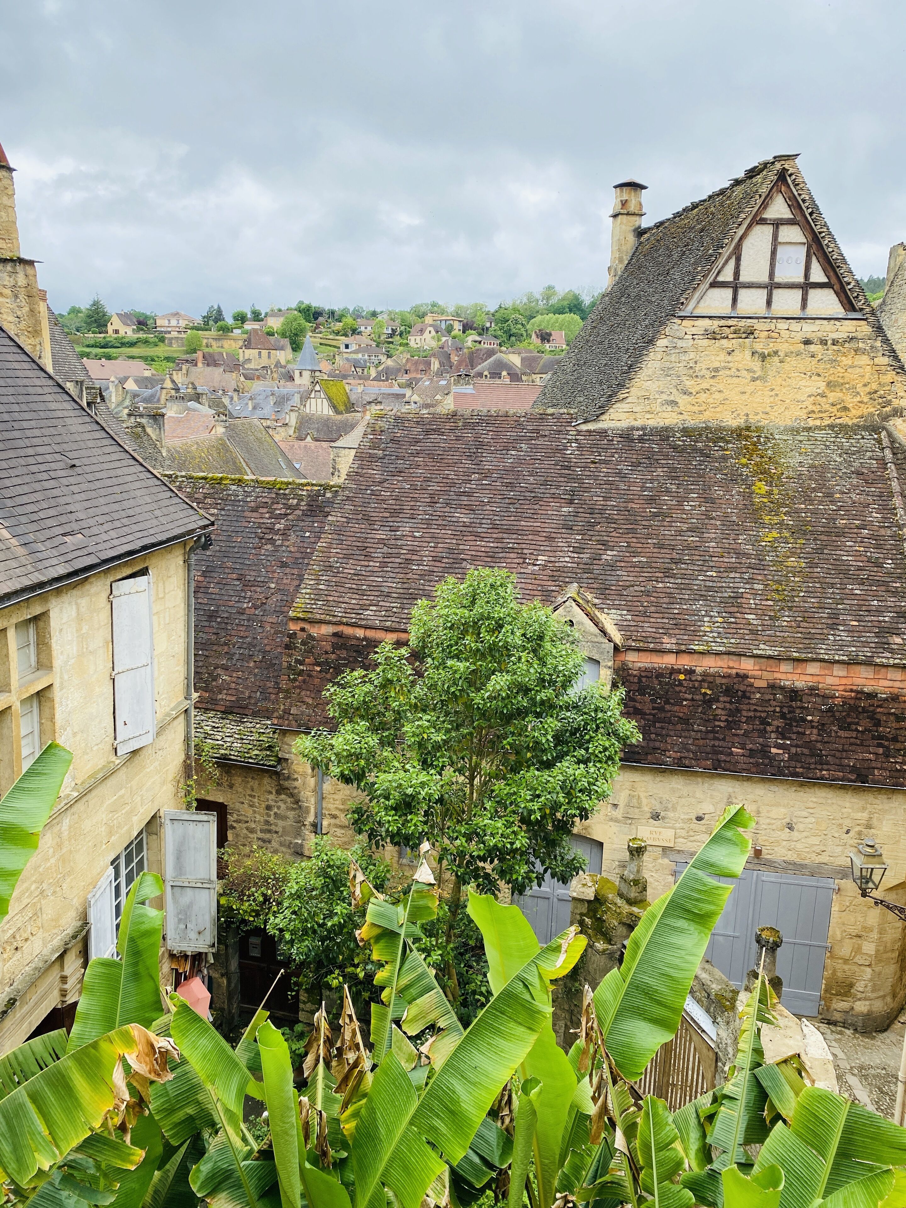 A traditional European village with stone buildings, a prominent tree in the foreground, and a view of the village in the background.