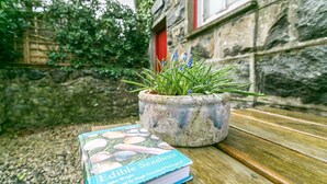 A potted plant with blue flowers and a book titled "Edible Seashore" on a wooden bench. - Capel Bach  -  a near a pub that sleeps 6 guests  in 3 bedrooms (Llanystumdwy)