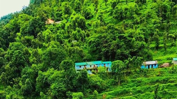 A lush green landscape with a swimming pool, a greenhouse, and several buildings with green roofs. - The Farm Cottages (Nainital)