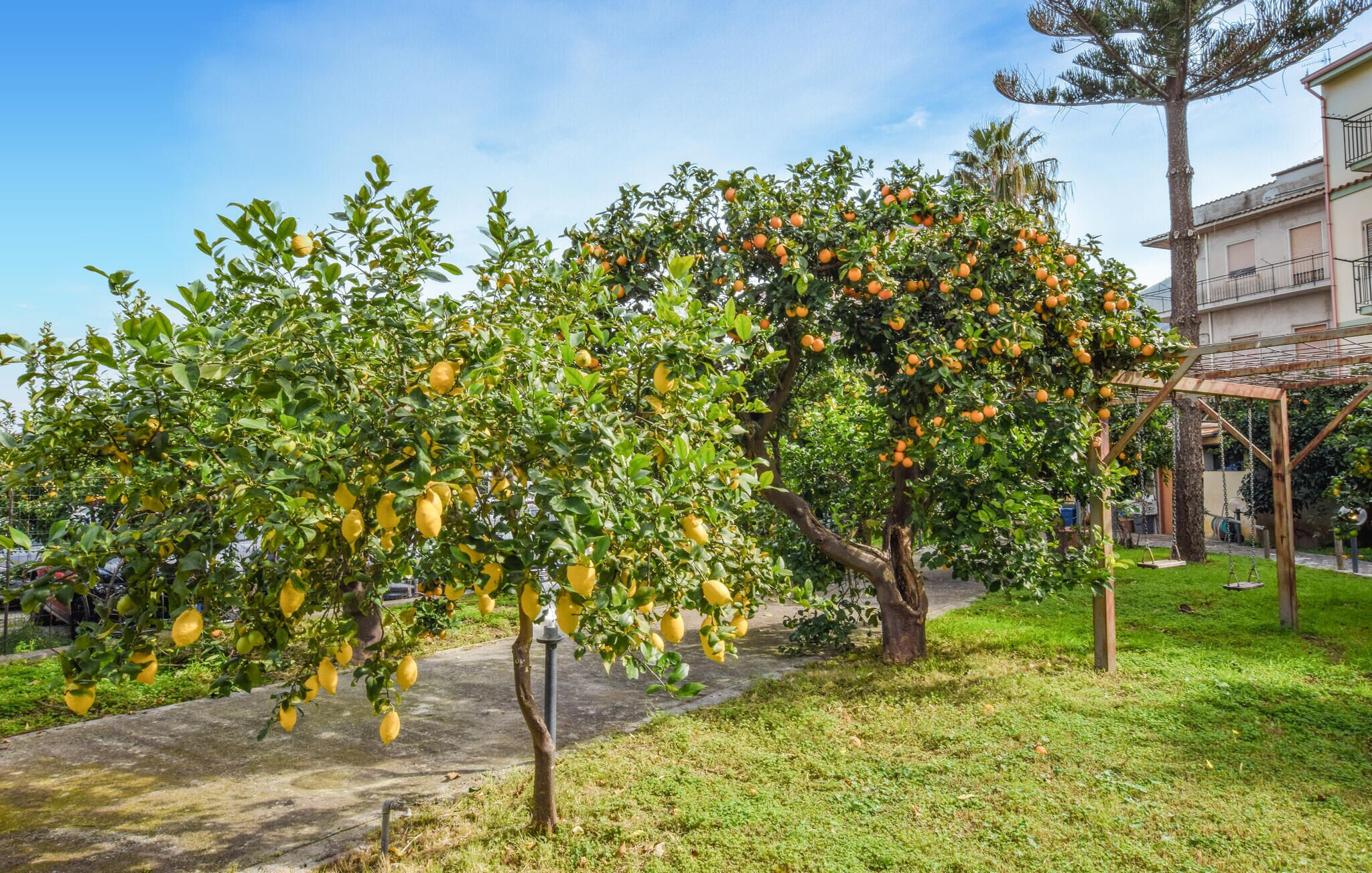Parco della struttura