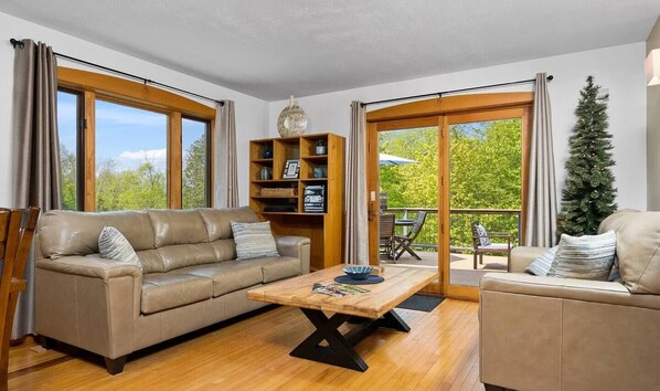 Smart TV, fireplace, offices - Lake Leelanau Therapy-HotTub/Kayaks/FirePit (Lake Leelanau)