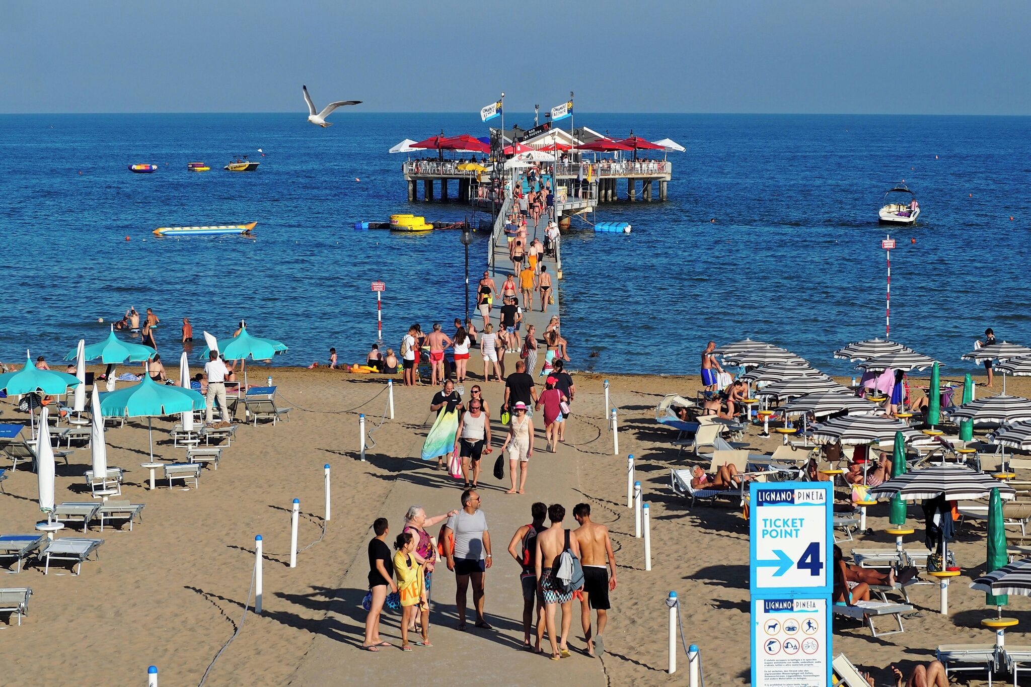 Una playa con un muelle, sombrillas y sillas.