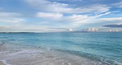 NEW Beachcomber - BBC 2044