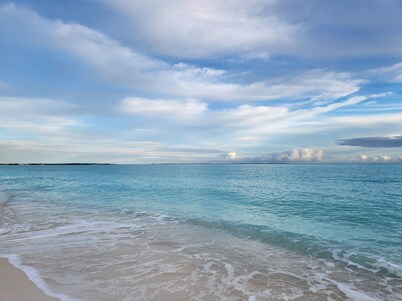 NEW Beachcomber - BBC 2044