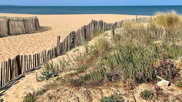 Una playa arenosa con una cerca de madera y dunas.