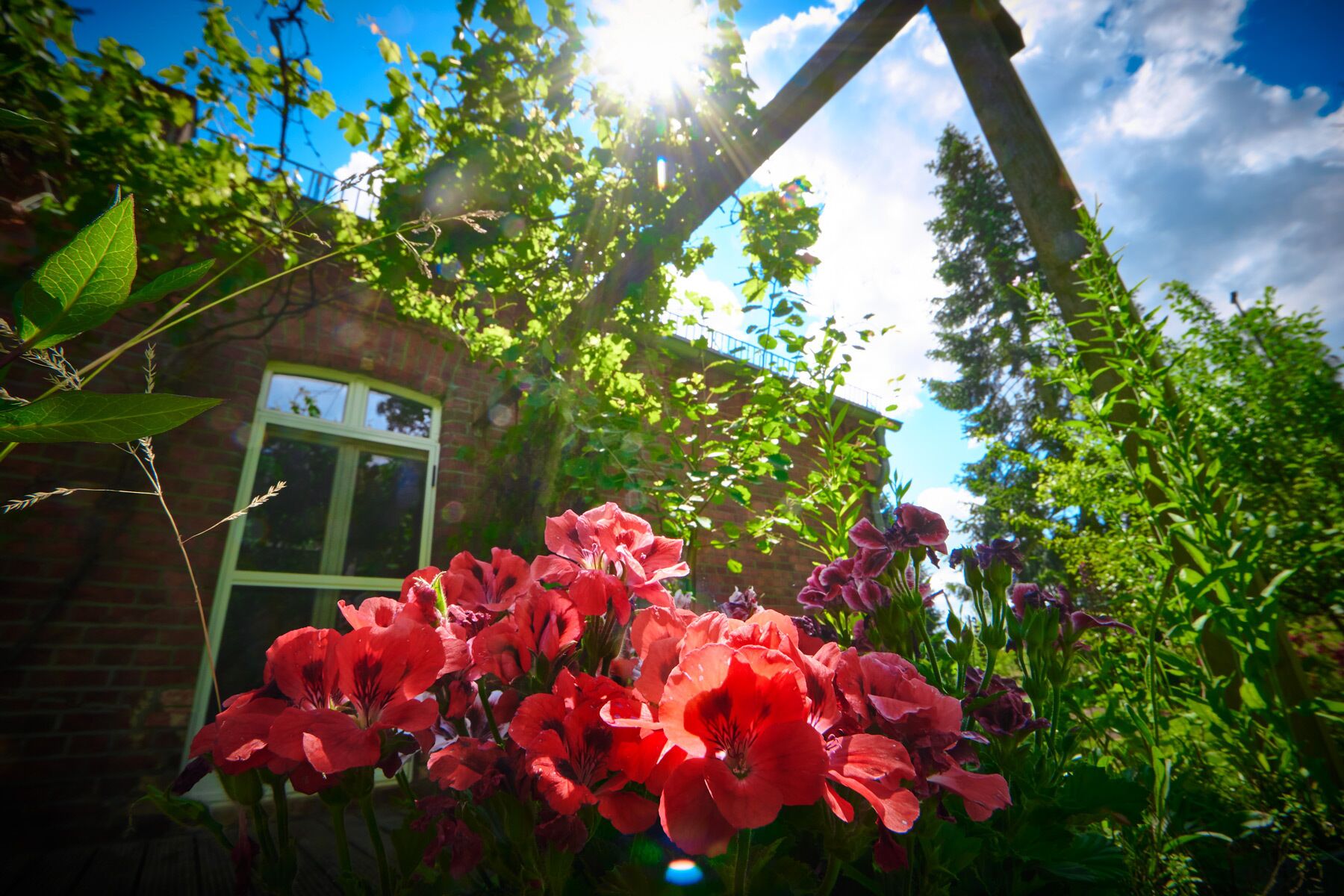 Enceinte de l’hébergement